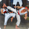 空手道搏击(karate challenge 2019)
